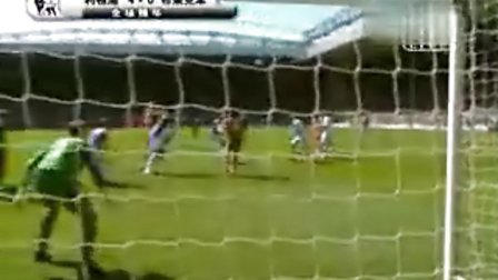 球迷和专家 球迷和专家